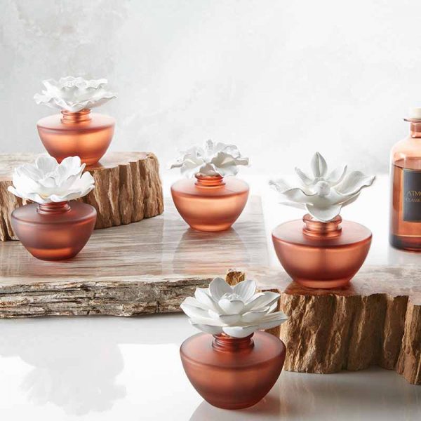 Tesco Reed Diffuser Fox and Ivy Scent Sticks for Home