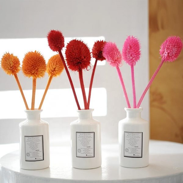 Woodwick Spill Proof Diffuser Reed Diffuser Aldi Diffuser Rods