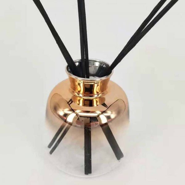 Reed Diffuser with Charcoal Stick Glass Shape Reed Diffuser