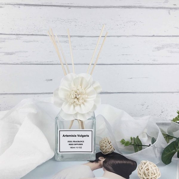 Best Room Diffuser Aromaworks Diffuser Room Diffuser Oil