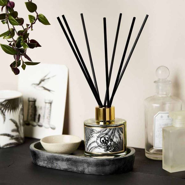 Aromatherapy Reed Diffuser Pier One Diffuser