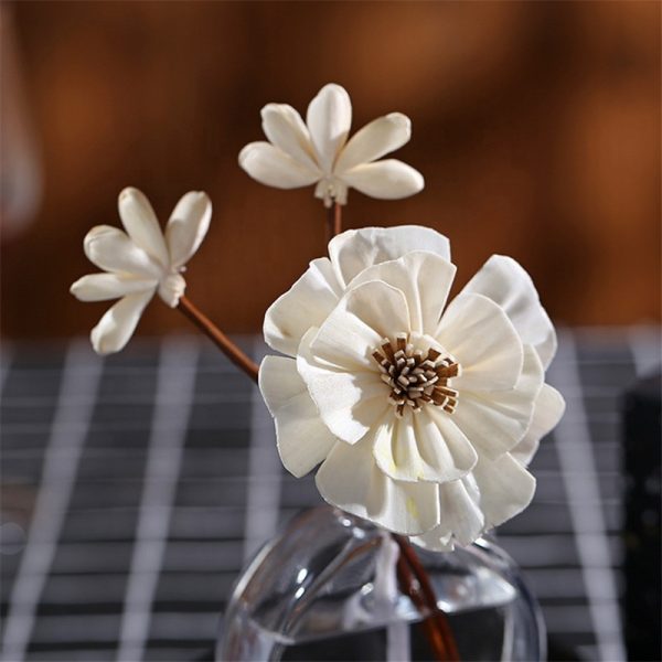Reed Diffuser Cork Reed Diffuser for Home Top Notes Reed Diffuser