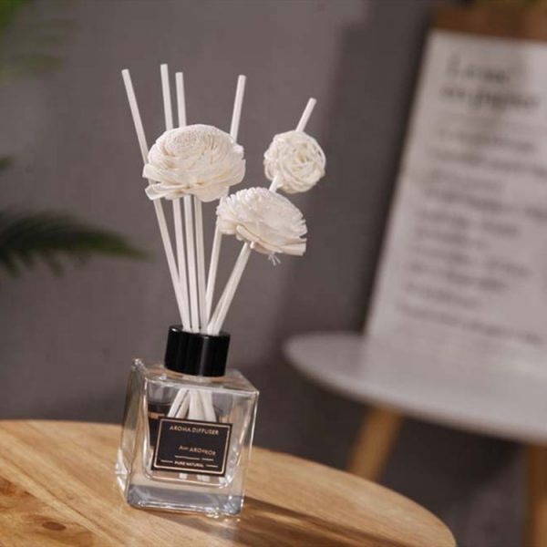 Perfume Diffuser for Home Reed Diffuser Brand Alora Diffuser