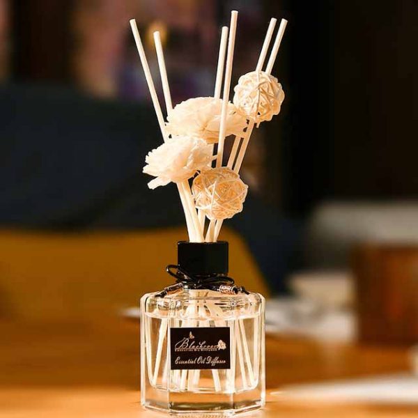 Sanctuary SPA Reed Diffuser Fragrance Diffuser for Home