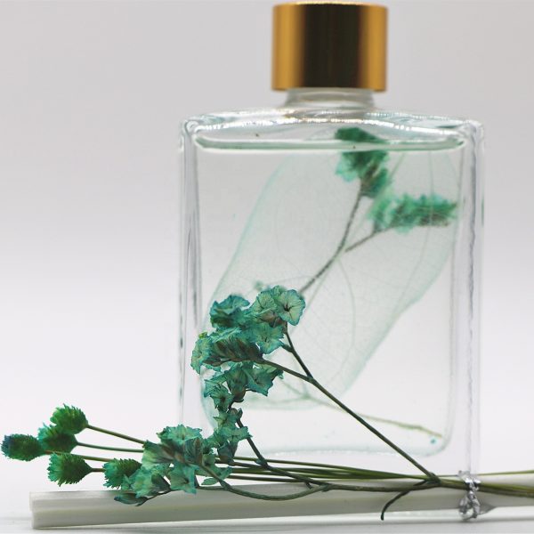 Botol Reed Diffuser Linea Reed Diffuser Cotton Diffuser Augeo Base