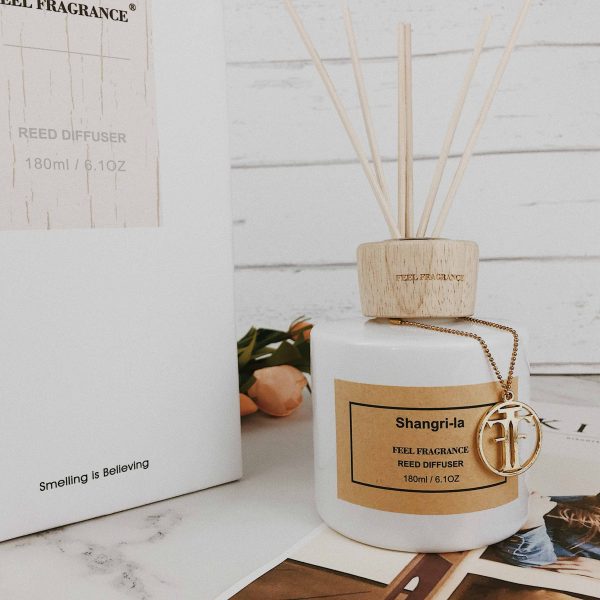 Fragrance Sticks in Oil Cara Membuat Reed Diffuser