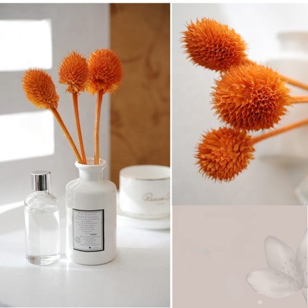 Diffuser Reed Elegant Reed Diffuser Fragrant Round Shape Glass Bottle