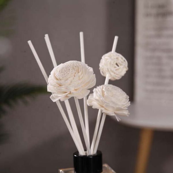 Perfume Diffuser for Home Reed Diffuser Brand Alora Diffuser