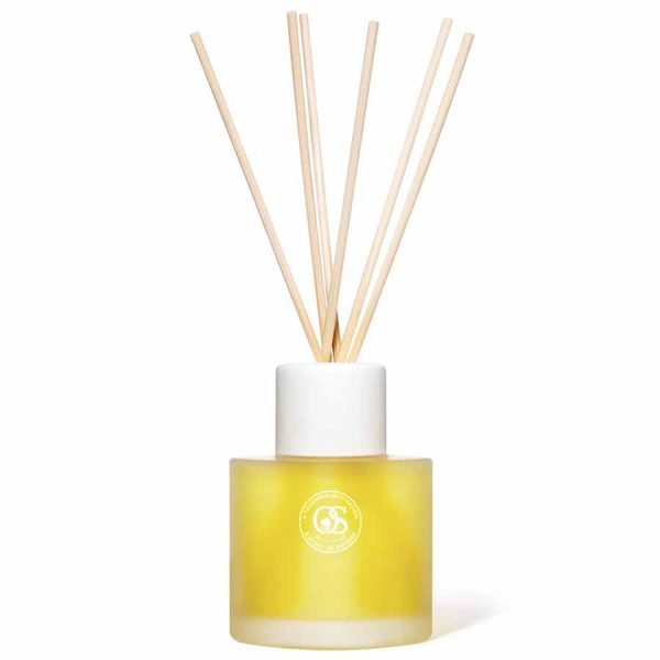 Reed Diffuser Bottle 50ml Reed Diffuser Glass Bottle with Wooden Lid