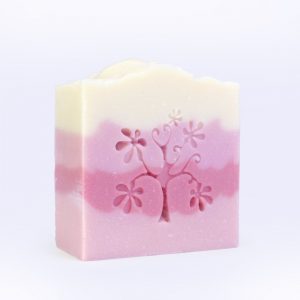 Vegan Soap Natural Soap Bar Travel Soap Honey Soap Powder Soap