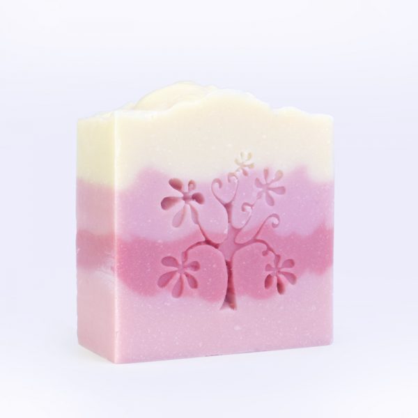Vegan Soap Natural Soap Bar Travel Soap Honey Soap Powder Soap