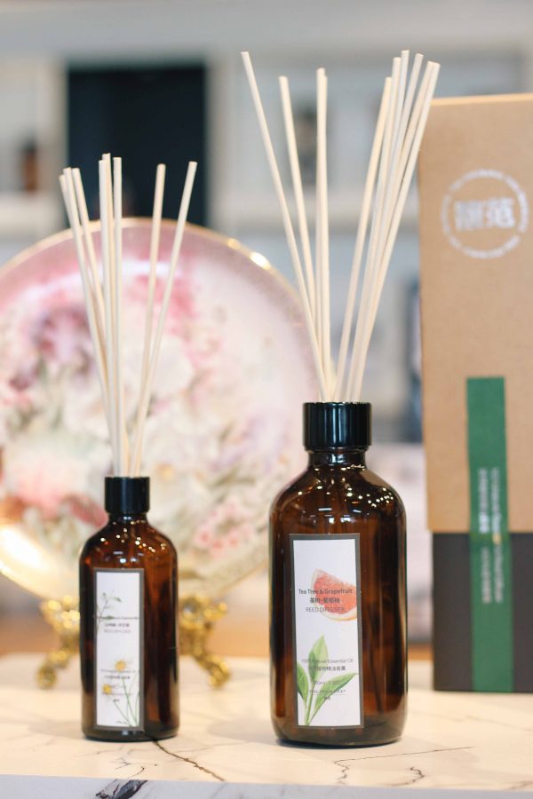 Best Room Fragrance Diffusers Stick Scent Diffuser