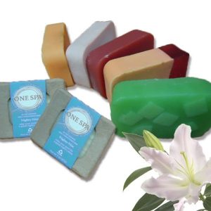 Simple Human Soap Wholesale Soap by The Loaf Ayush Soap