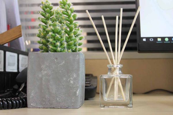 Sweet Grace Diffuser Botanical Reed Diffuser Aroma Reeds