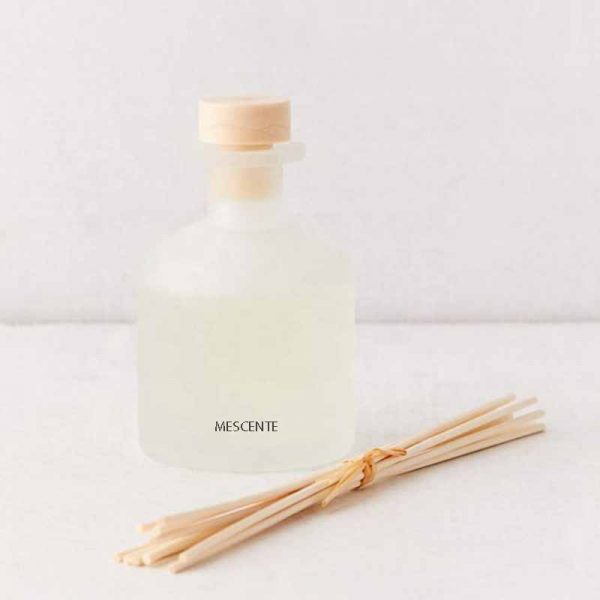 Cat Reed Diffuser Cone Funnel Shape Glass Reed Diffuser Bottle