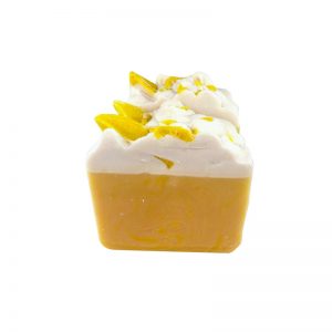 Spring Bar Soap Soap Wax Soap Travel Soap Donuts Soap Line