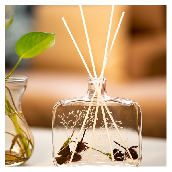 Rattan Oil Diffuser ST Eval Reed Diffuser Plum Diffuser
