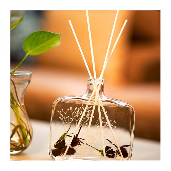 Aroma Home Reed Diffuser Reed Diffuser Private Lable