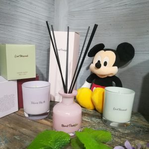 Reed Diffuser Home Fragrance Thymes Frasier Fir Aroma Diffuser Oil