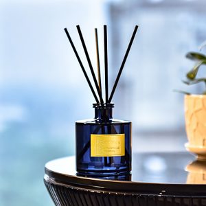 Best Essential Oil Diffuser Sticks Essential Elements Scents Sticks