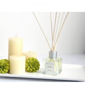 Aldi Candles and Diffusers Best Nest Reed Diffuser Scent