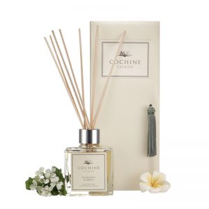 Reed Diffuser 50-55ml Glass Bottles Conical Reed Diffuser