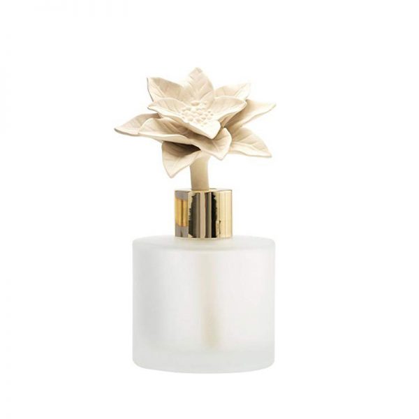Shangri LA Reed Diffuser Vanilla Room Diffuser Scentcerity Diffuser
