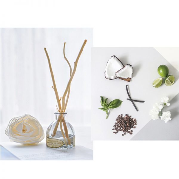 Salted Caramel Diffuser San Miguel Citron Reed Diffuser