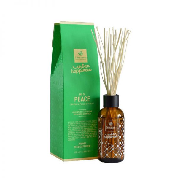 Reed Diffuser Plus Refiil Charcoal Reed Aromatherapy Diffuser