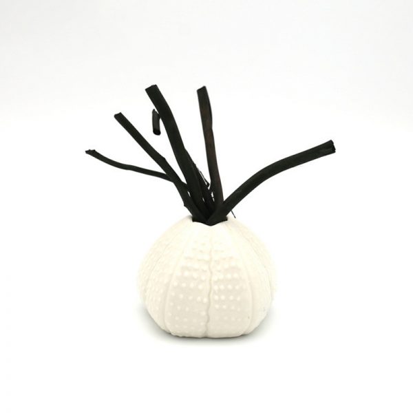 Best Hooga Reed Diffuser Scent How To Make Diffuser with Perfume