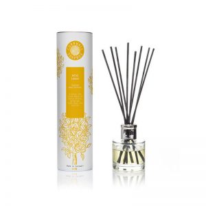 Reed Diffuser Wood Ball Vase Portable Simple Giass Reed Diffuser