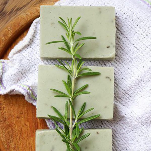 Money Soap Soap Base Melt and Pour Melt and Pour Soap Base