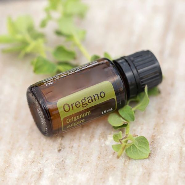 Rosemary Essential Oil Tea Tree Essential Oil Lemongrass Oil