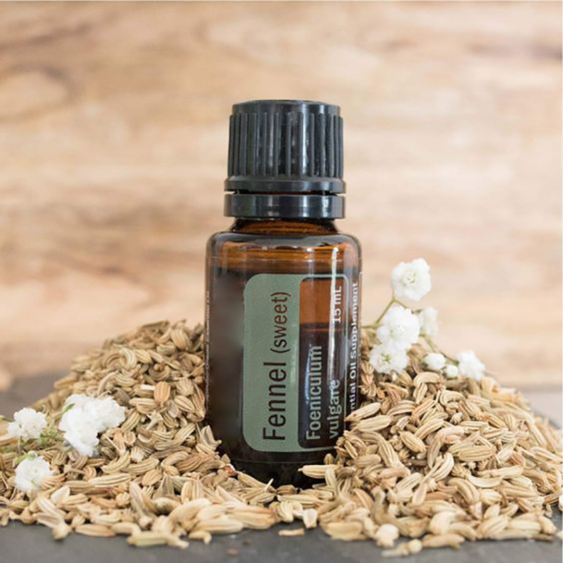 Ginger Oil Cedarwood Essential Oil Vanilla Essential Oil Ginger Oil Cedarwood Essential Oil Vanilla Essential Oil