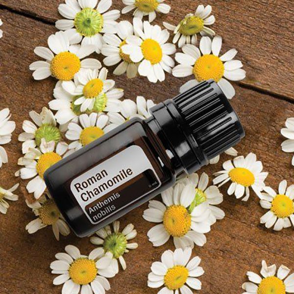Patchouli Oil Electric Diffuser Camphor Oil Now Essential Oils
