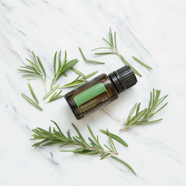 Plant Therapy Essential Oils Tea Tree Oil Use Vetiver Oil