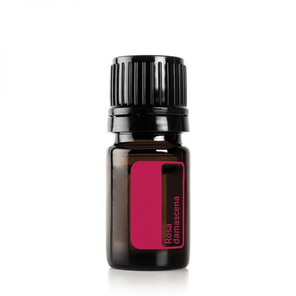 Essential Oils for Anxiety Peppermint Oil for Hair Best Oil Diffuser