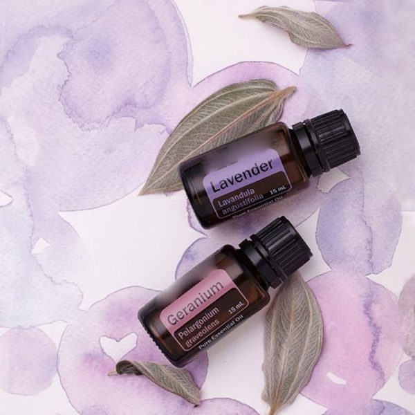 Patchouli Oil Electric Diffuser Camphor Oil Now Essential Oils