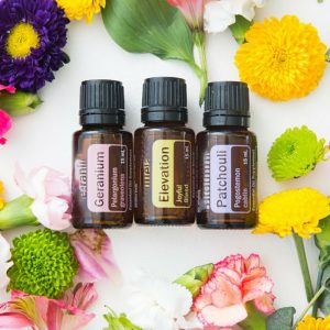 Clary Sage Essential Oil Carrot Seed Oil Thyme Oil