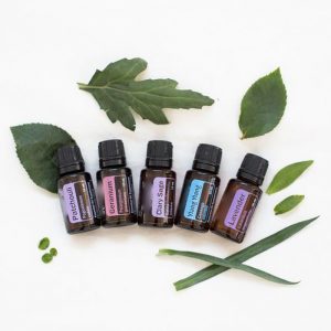 Rosemary Essential Oil Tea Tree Essential Oil Lemongrass Oil