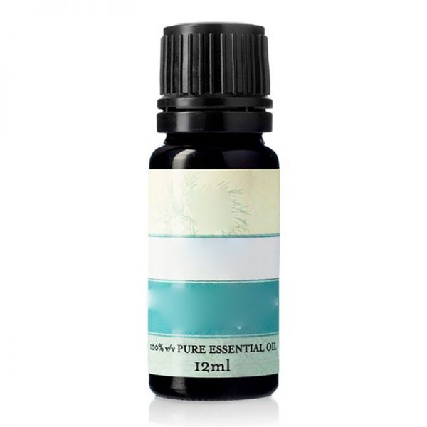 Cypress Essential Oil Ylang Ylang Doterra Cajuput Oil Deep Blue Doterra
