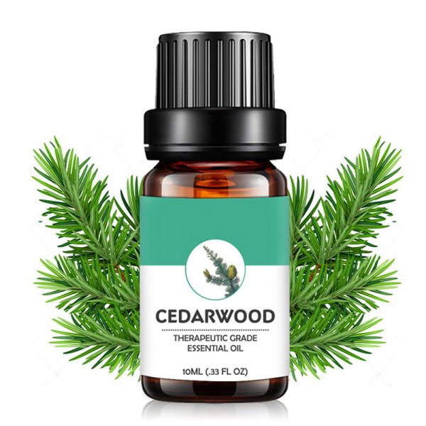 Citronella Oil Best Essential Oils Thieves Oil Benzoin