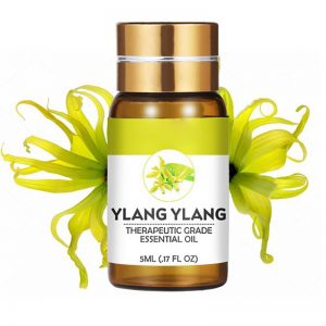 Cedarwood Oil List of Essential Oils Lemon Eucalyptus Oil