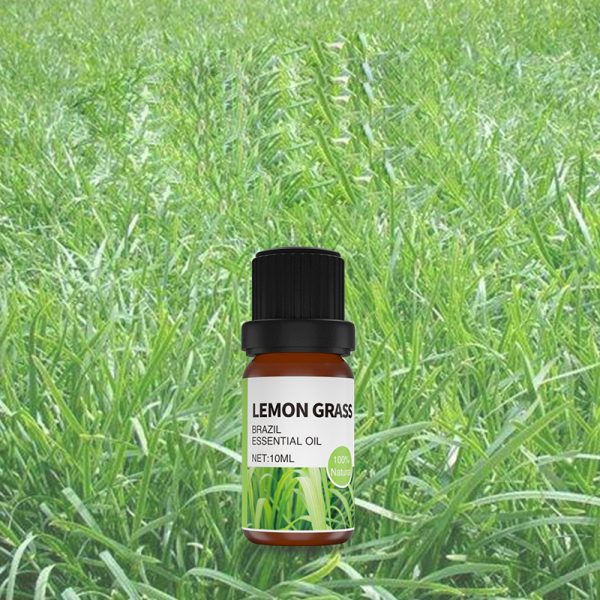 Oregano Oil Rosemary Oil Helichrysum Copaiba Air Diffuser