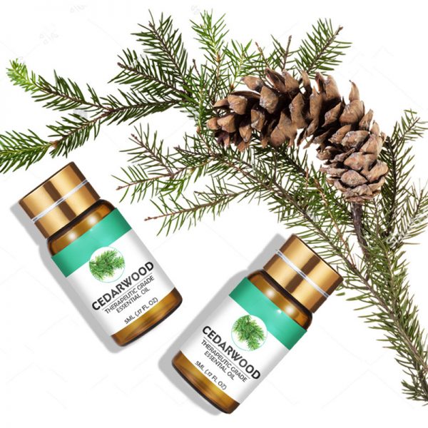 Basil Essential Oil Diffuser Humidifier Fennel Oil Mist Diffuser