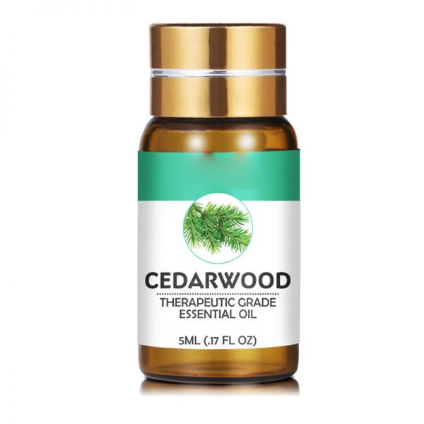 Rosemary Essential Oil for Hair DR Z Essential Oils Cypress Oil