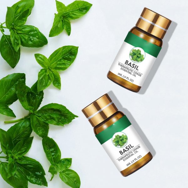 Rosemary Essential Oil for Hair DR Z Essential Oils Cypress Oil