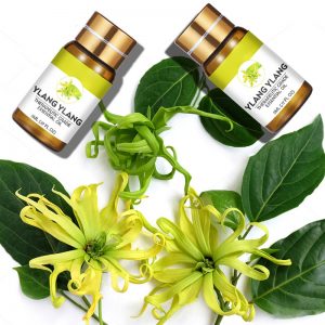 Basil Essential Oil Diffuser Humidifier Fennel Oil Mist Diffuser