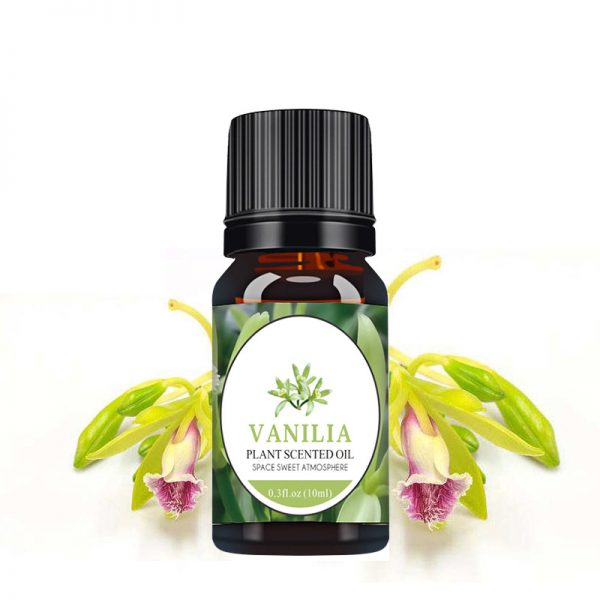 Spikenard Oil Cassia Oil Ceramic Diffuser Asakuki Diffuser