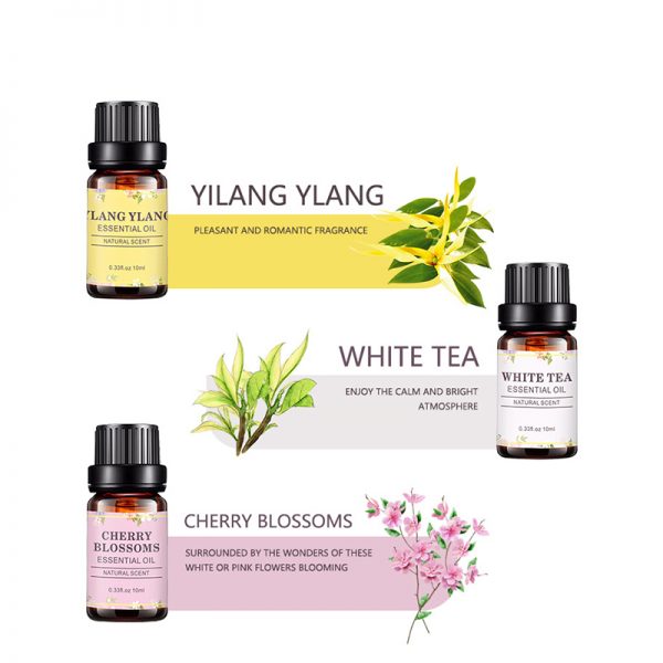 Cajeput Oil Rosemary Oil for Skin Best Essential Oil for Hair Growth
